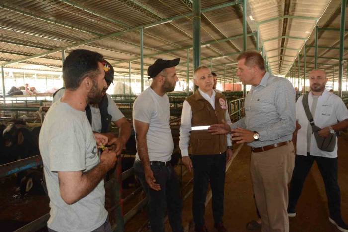 Özkasap Ve Öztürk Canlı Hayvan Borsası’nda İncelemelerde Bulundu