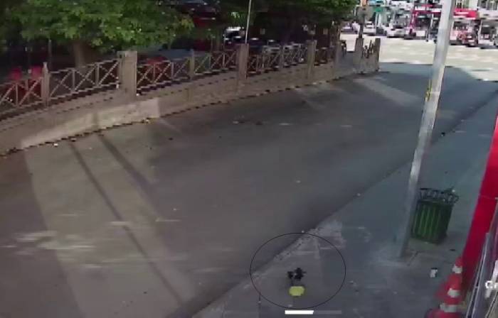 Kameraları İnceleyince Ortaya Çıktı, Bu Hırsız Hayrete Düşürdü