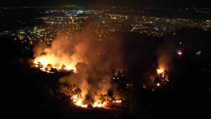 Tire’de Çıkan Yangında Beş Dönümlük Zeytinlik Alan Zarar Gördü