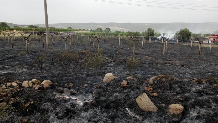 Yol Kenarında Çıkan Yangın Bağlara Ulaşmadan Söndürüldü