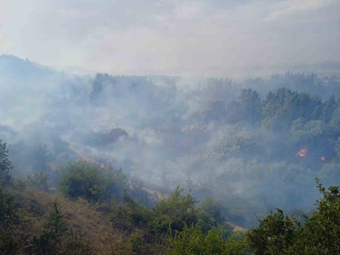 Çöplükte Çıkan Yangın Tekrar Alevlendi