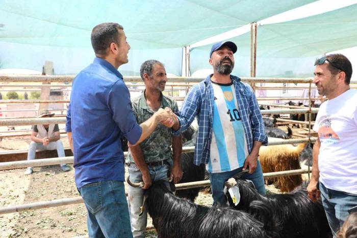 Elazığ’da Kurban Satış Ve Kesim Noktasında Hazırlıklar Tamamlandı