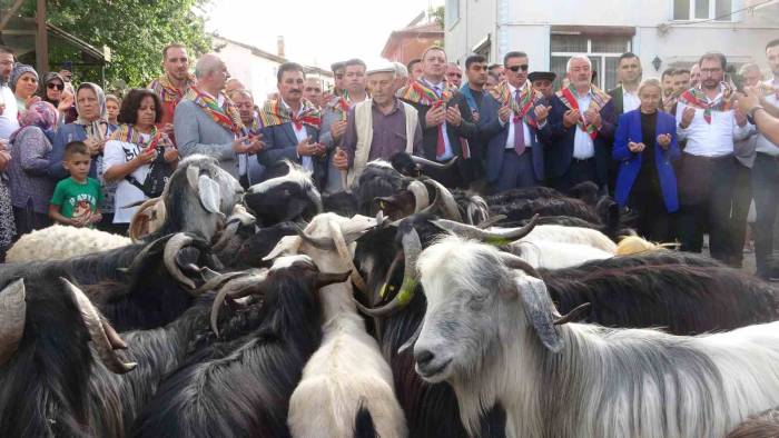 Isparta’da 400 Yıldır Süren "Geleneksel Kurban İndirme Geleneği" Gerçekleştirildi