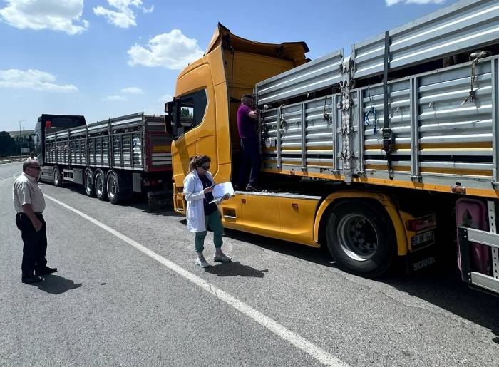 Kurban Bayramı Öncesi Gıda Denetimlerine Hız Verildi