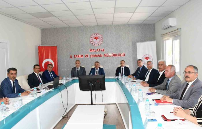 Malatya Kayısısında 2024 Yılı Tahmini Rekoltesi 107 Bin 517 Ton Olarak Açıklandı