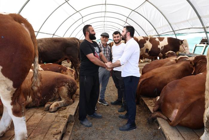 Sultangazi Kurban Satış Alanı’nda Bayram Yoğunluğu