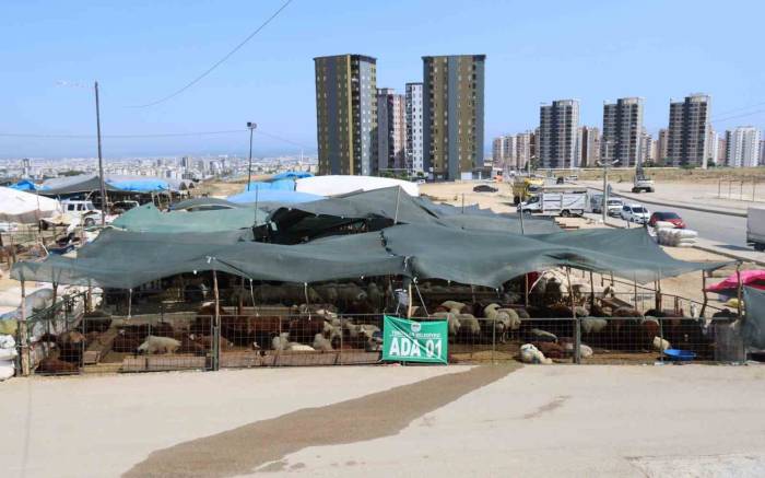 Toroslar Kurban Bayramı’na Hazır