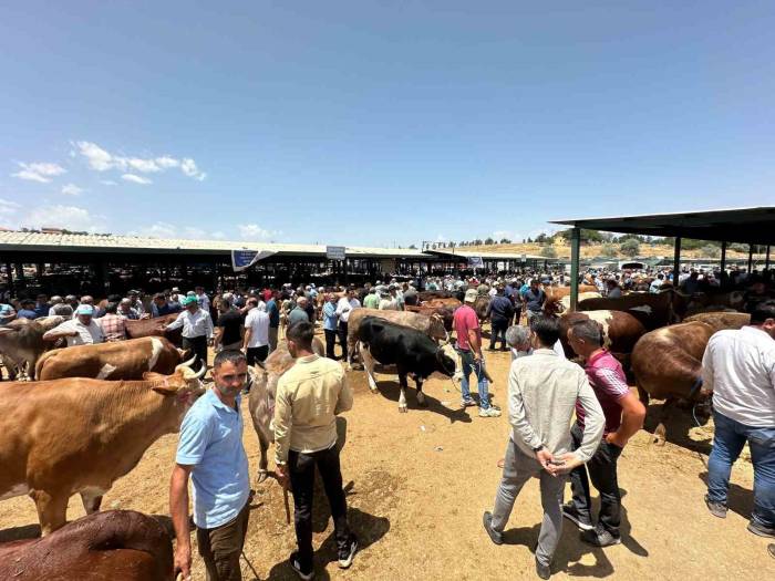 Kurban Bayramı Öncesi Canlı Hayvan Pazarında Yoğunluk Yaşanıyor