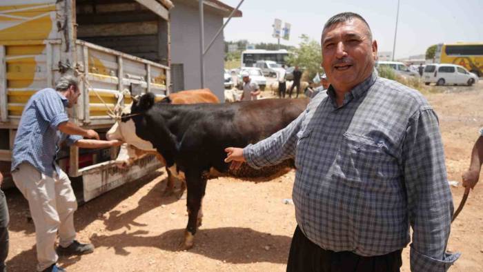 Arefe Günü Kurban Pazarlarında Yoğunluk Had Safhaya Çıktı