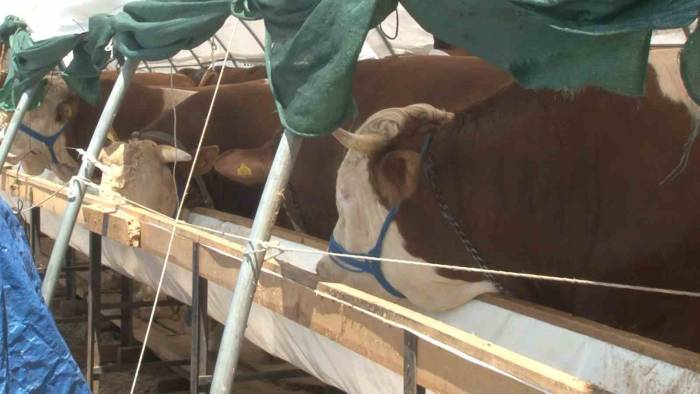 Kurban Pazarlarında Arefe Günü Yoğunluğu Yaşandı