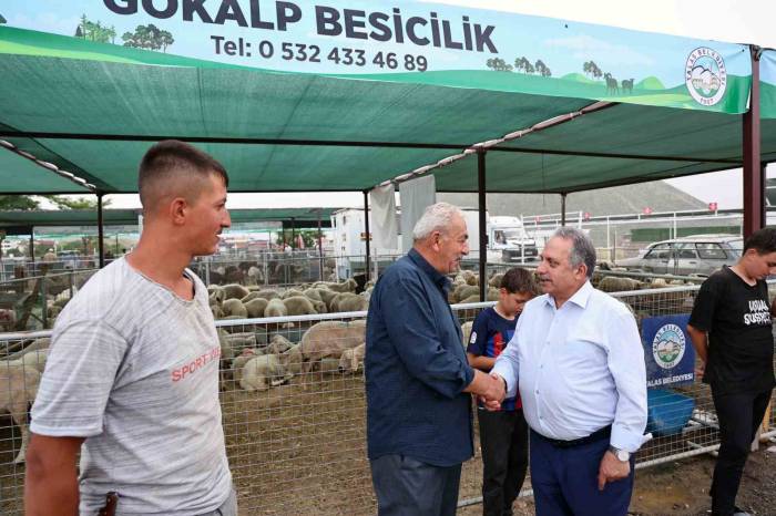 Besiciler Başkan Yalçın’a Teşekkür Etti: "Bu Konfor İstanbul’da Yok"