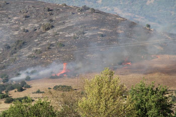 Çine’deki Orman Yangını Kontrol Altına Alındı