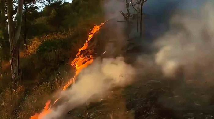 Söke’de Makilik Yangını