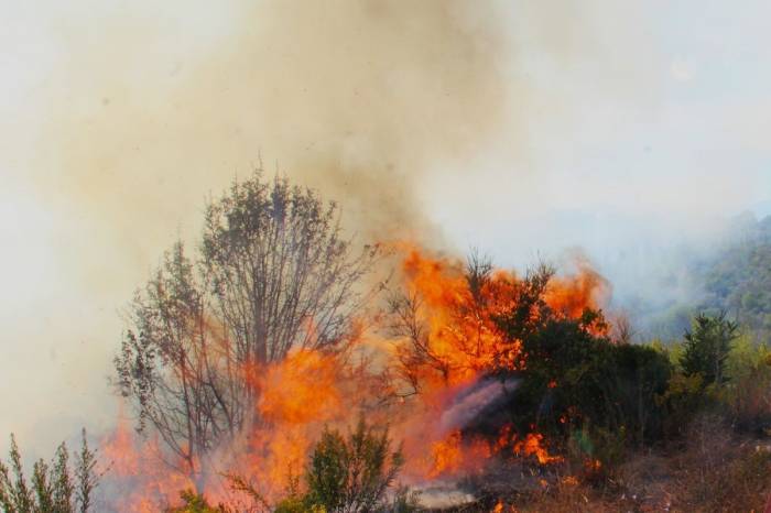 Ekodosd Başkanı Sürücü: “Dikkat, Yüreğimiz Yanmasın”