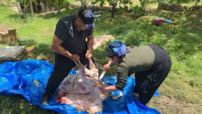 3 Çocuk Annesi Maharetiyle Kasaplara Taş Çıkarttı