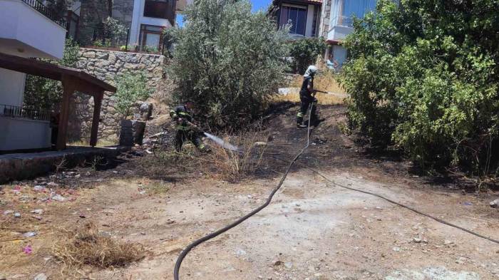 Datça’da Mahalle Ortasında Korkutan Yangın