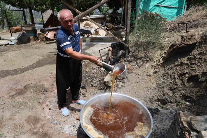 Adana Sıcağında Dutun Şifalı Yolculuğu Başladı