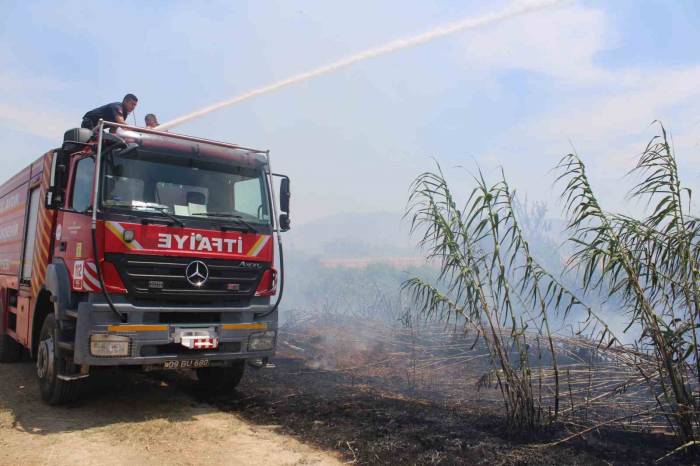 Sazlık Alanda Çıkan Yangın Korkuttu