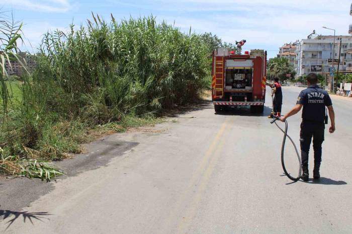 İtfaiyenin Hızlı Müdahalesi Pamuk Tarlasını Yanmaktan Kurtardı