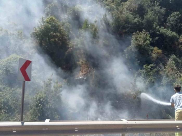 Akli Dengesi Olmayan Vatandaş, Ormanı Küle Çevirecekti