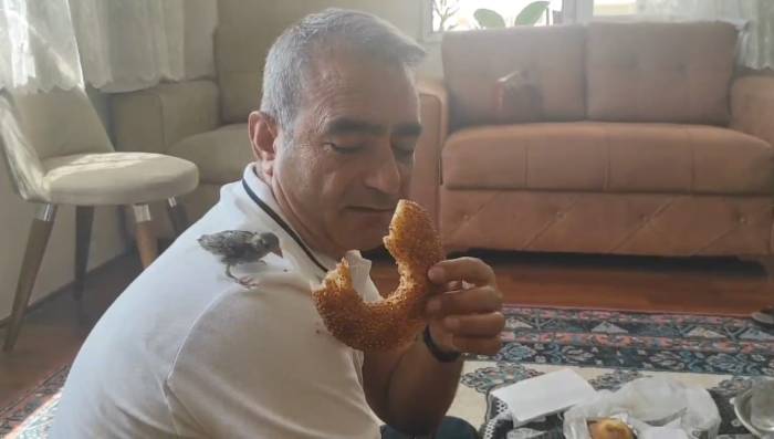 Pencereden Giren Serçe Evi Terk Etmiyor