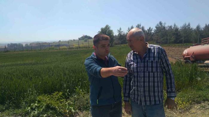 Bilecik’te ‘Süne Nimf Sürvey’ Çalışmaları Talimatı Verildi