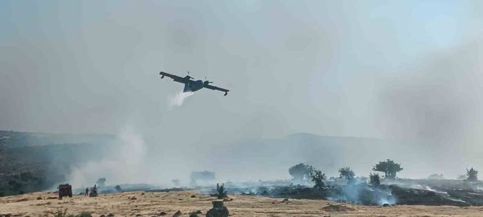 İzmir’de Otluk Alanda Yangın