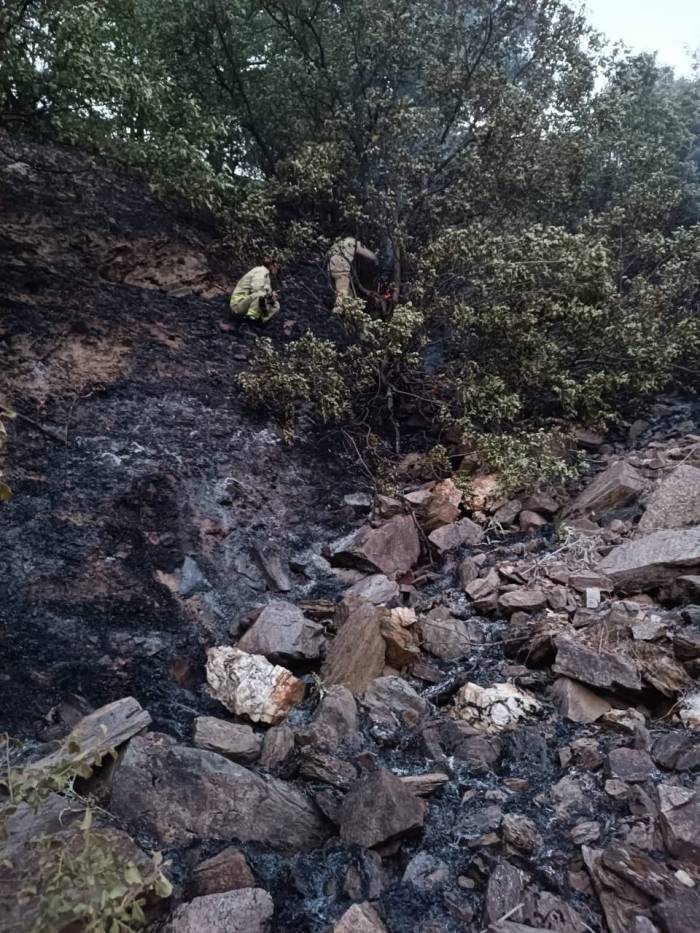 Alaşehir’de 50 Dekarlık Meyve Bahçesi Kül Oldu