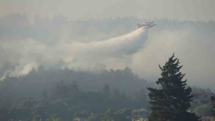 Tarım Ve Orman Bakanı İbrahim Yumaklı: "Yangından Etkilenen Alanın Yaklaşık 575 Hektar Olduğunu Tahmin Ediyoruz"