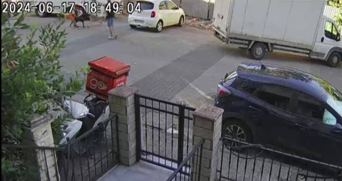 Ataşehir’de Birbirine Giren Köpekleri Motosiklet Kaskı İle Vurarak Ayırdı