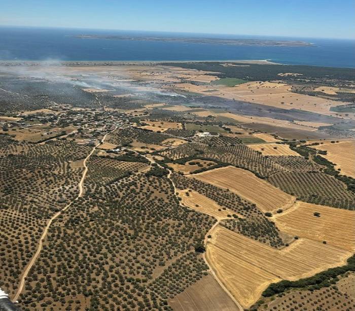 Ezine’de Tarım Arazisinde Başlayan Yangın Ormanlık Alana Sıçramadan Kontrol Altına Alındı