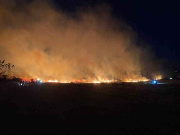 Edirne’de 100 Dönüm Ekili Tarım Arazisi Yandı