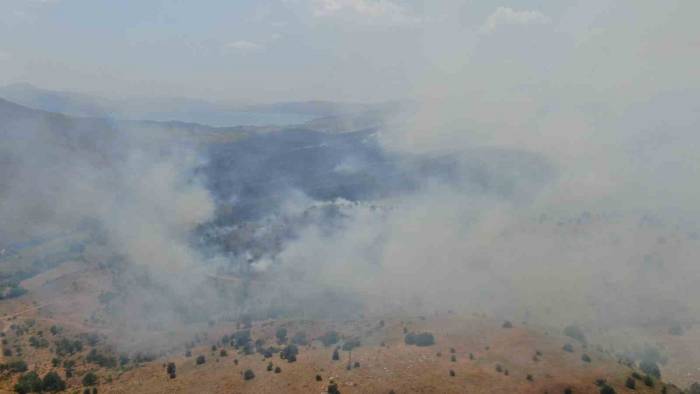 Elazığ’da Orman Yangını: Ekiplerin Havadan Ve Karadan Müdahalesi Sürüyor