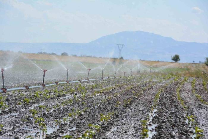 Denizli’de Tarımsal Sulama İle Ülke Ekonomisine 10 Milyar Tl Katkı Sağlanacak