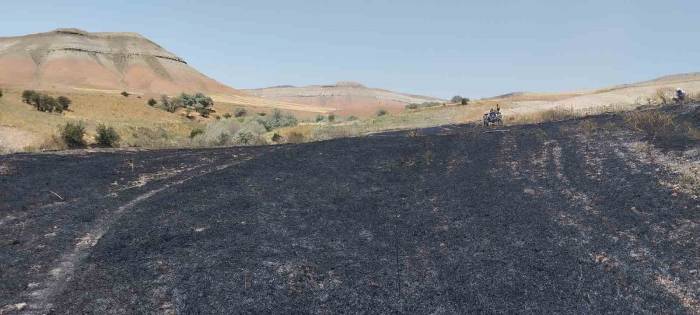 Yangın Badem Ve Fıstık Ağaçlarına Zarar Verdi