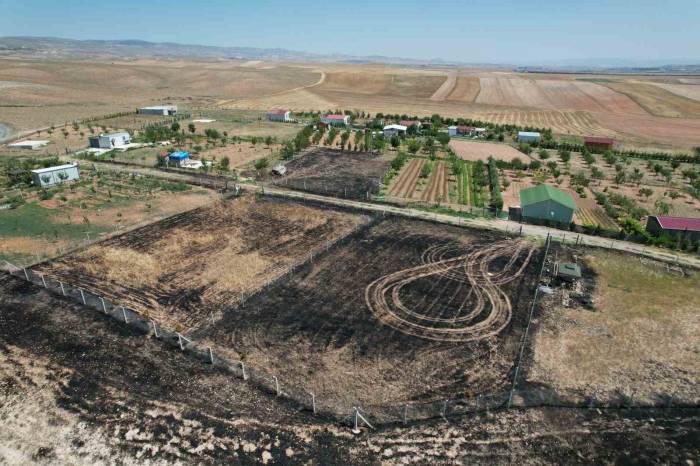 Hobi Bahçesindeki Yılan İçin Az Kalsın Köyü Yakıyorlardı