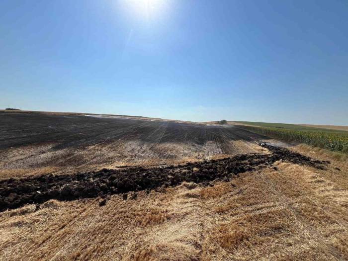 Babaeski’de Elektrik Direğine Çarpan Kuş Tarlayı Yaktı