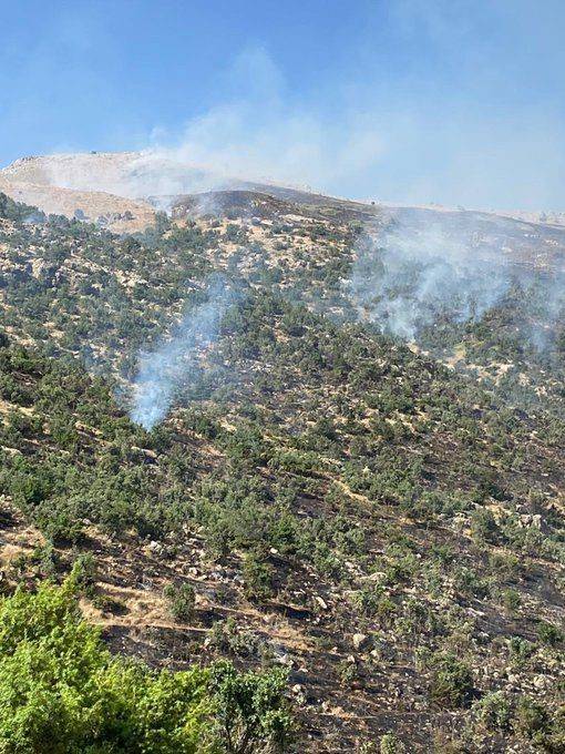 Siirt’teki Orman Yangını Kontrol Altına Alındı