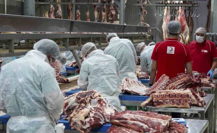 Türk Kızılay 146 Bin 683 Hisse Kurban Kesimiyle 21 Ülkede 4,2 Milyon İhtiyaç Sahibine Ulaşacak