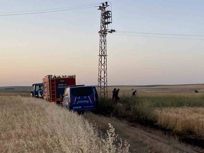 Elektrik Akımına Kapılan Kuşlar Yangına Neden Oldu