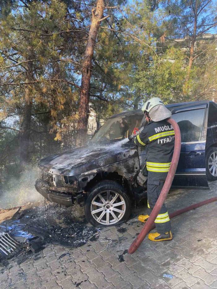 Zamanında Müdahale Orman Yangınını Önledi