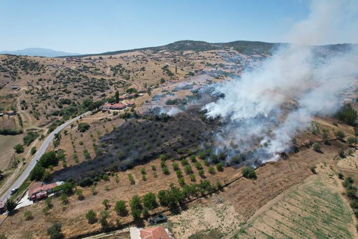 Manisa’da Makilik Alanda Yangın