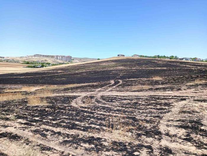 Çöpten Çıkan Yangın 300 Dönümlük Ekili Araziyi Küle Çevirdi