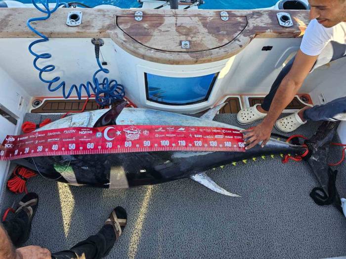 154 Kiloluk Devasa Orkinosu 4 Kişi, 1 Saatlik Mücadeleyle Yakalamayı Başardı