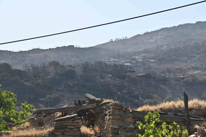 Manisa’daki Yangınlar Geçen Seneye Göre 2 Kat Arttı