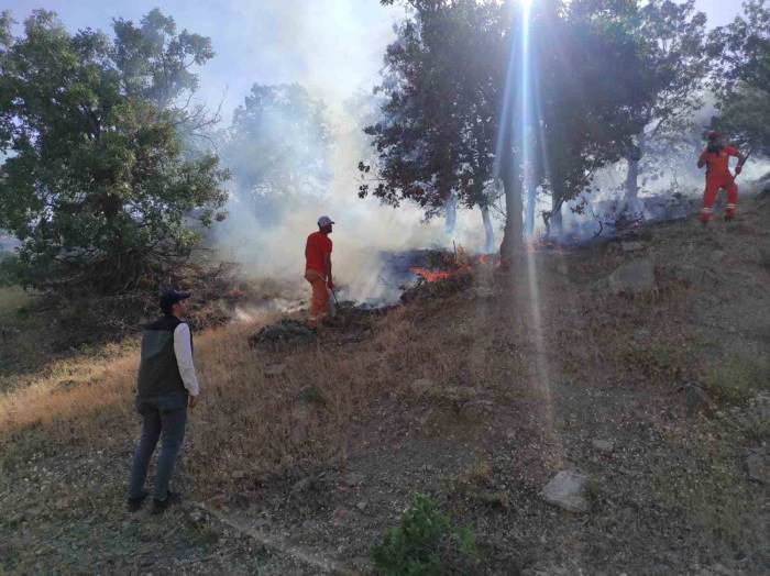 Bingöl’de İki Ayrı Bölgede Çıkan Yangınlar Söndürüldü