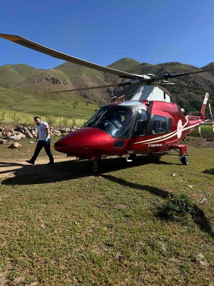 Arı Sokması Sonucu Bilinç Kaybı Yaşayan Hasta, Ambulans Helikopterle Erzurum’a Sevk Edildi