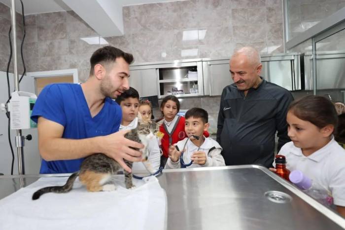 Gebze’de 309 Patili Can Yeni Yuvalarına Kavuştu