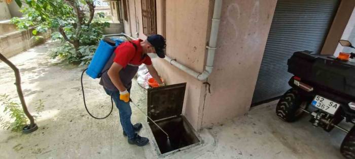 Ordu Büyükşehir, Sivrisineklere Karşı Mücadele İçin Sahada