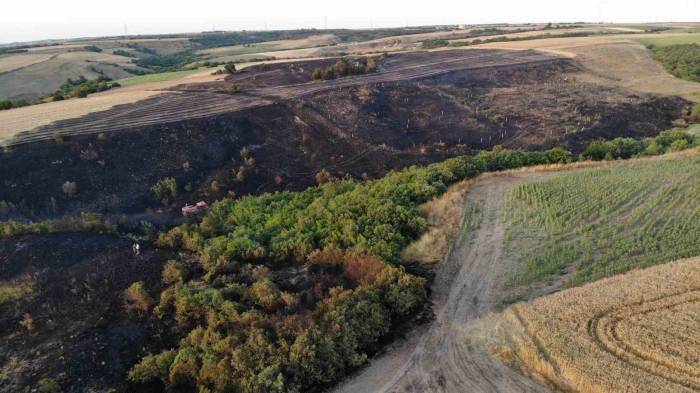 Silivri’de 30 Dönümlük Buğday Tarlası Küle Döndü